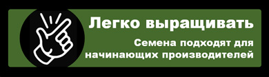 Простые в выращивании сорта каннабиса - сорта марихуаны для начинающих - самые простые сорта травки значок вкладки изображение